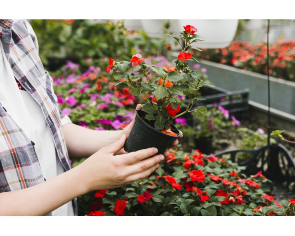 The standard Lorem Ipsum